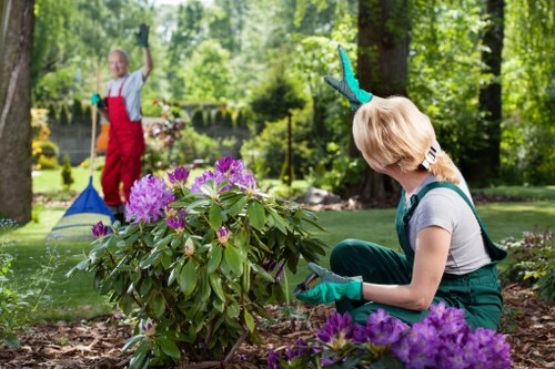 Gardener team assessing a Barkingside garden layout