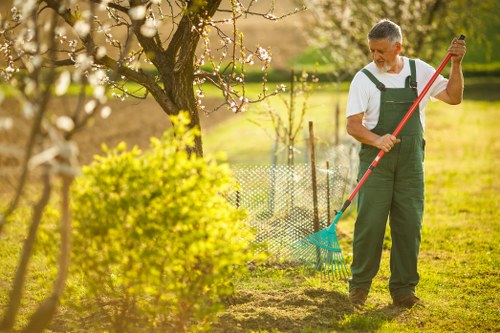 Stump grinding and garden clearance equipment on site